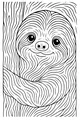 Sammy the Slow Smiling Sloth