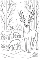Winter in the Quiet Deer Woods