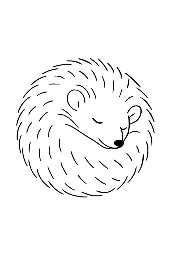 Snuggly Hedgehog Curled in a Ball
