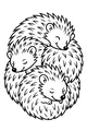 Sleepy Hedgehog Snuggle Circle
