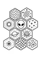 Star Hive Visitor