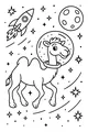 Space Camel’s Starry Walk