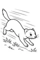 Zooming Weasel With Whiskers and Speed
