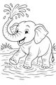 Splish Splash Elephant Fun