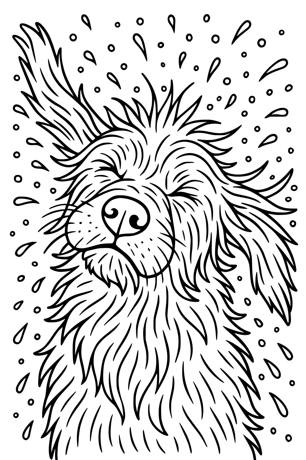 Long-haired dog shaking off water with tilted ears and droplets flying in all directions.