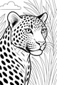 Speckle the Leopard in Tall Grass