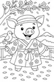 Piglet’s Flower Kimono Garden Stroll
