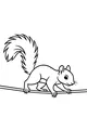 Sammy Squirrel Balances on the Wobbly Branch
