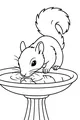 Thirsty Squirrel at the Garden Fountain