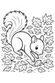 Nut Finder in the Autumn Leaves