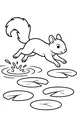 Squirrel’s Splashy Leap Across the Pond