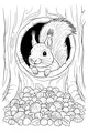 Nutty Hideout in the Hollow Tree