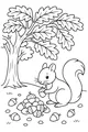 Nutty Picnic Under the Oak Tree