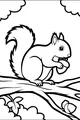 Munchy Squirrel’s Big Nut Picnic