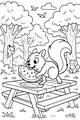 Sunny Picnic with the Watermelon Squirrel