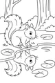 Squirrel and the Curious Pond Reflection