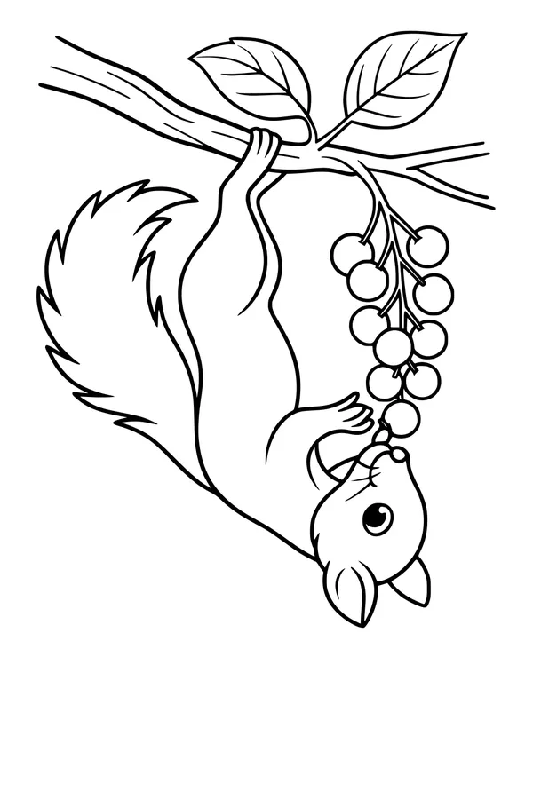 Upside Down Berry Snack