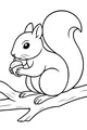 Nibbles the Squirrel’s Snack Break