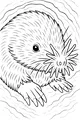 Muddy Tunnel Secrets with the Star-Nosed Mole