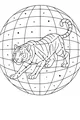 Starry Tiger Across the Night Sky