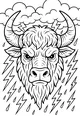 Stormy Buffalo’s Big Thunder Face