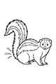 Sprinkle the Skunk Shows Her Stripes