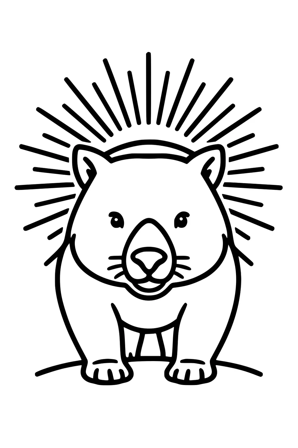 Front-view cartoon wombat on a small hill with sunburst lines behind its head, drawn with bold outlines.