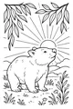 Sunny Stroll with a Wombat