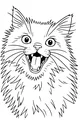 Fluffy Whiskers Makes a Funny Face