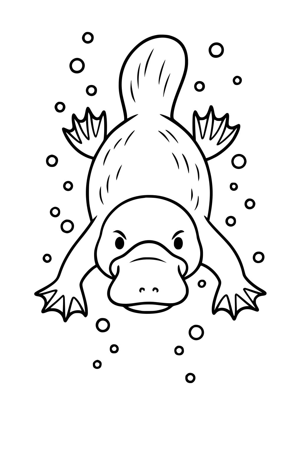 Front view of a platypus swimming underwater with webbed feet and bubbles around its body.