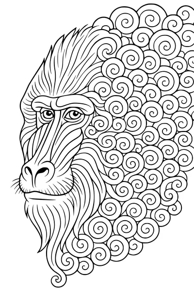 Baboon With the Swirly Mane