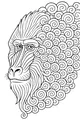 Baboon With the Swirly Mane
