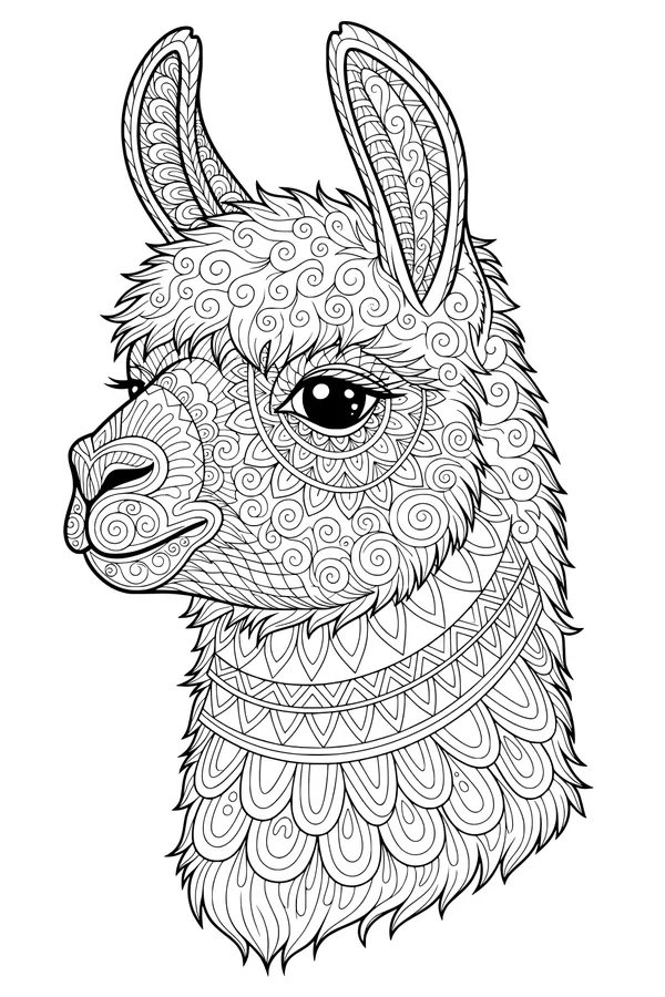 The Swirly Llama with Big Sparkly Eyes