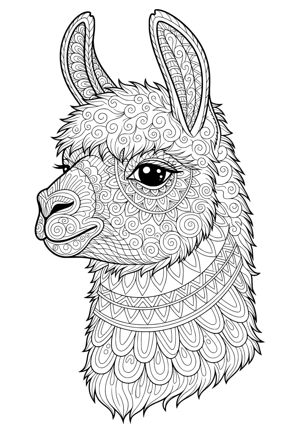 Llama with large eyes and detailed swirling patterns covering her head, ears, and neck in a hand-drawn style.