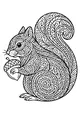 Swirly Squirrel and Her Acorn Treasure