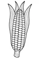 Harvest Corn On The Cob