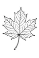 Harvest Maple High-Five