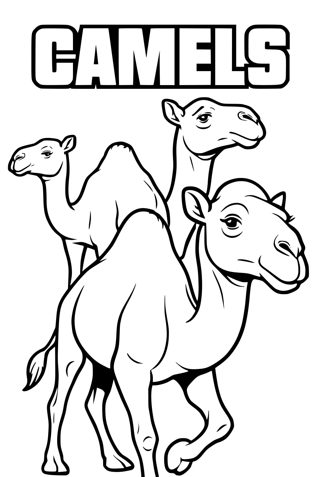 Three camels with detailed faces and humps standing together under CAMELS text in bold block letters.