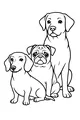 Three Pals with Waggy Tails