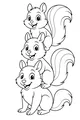 Stack of Cheery Forest Squirrels