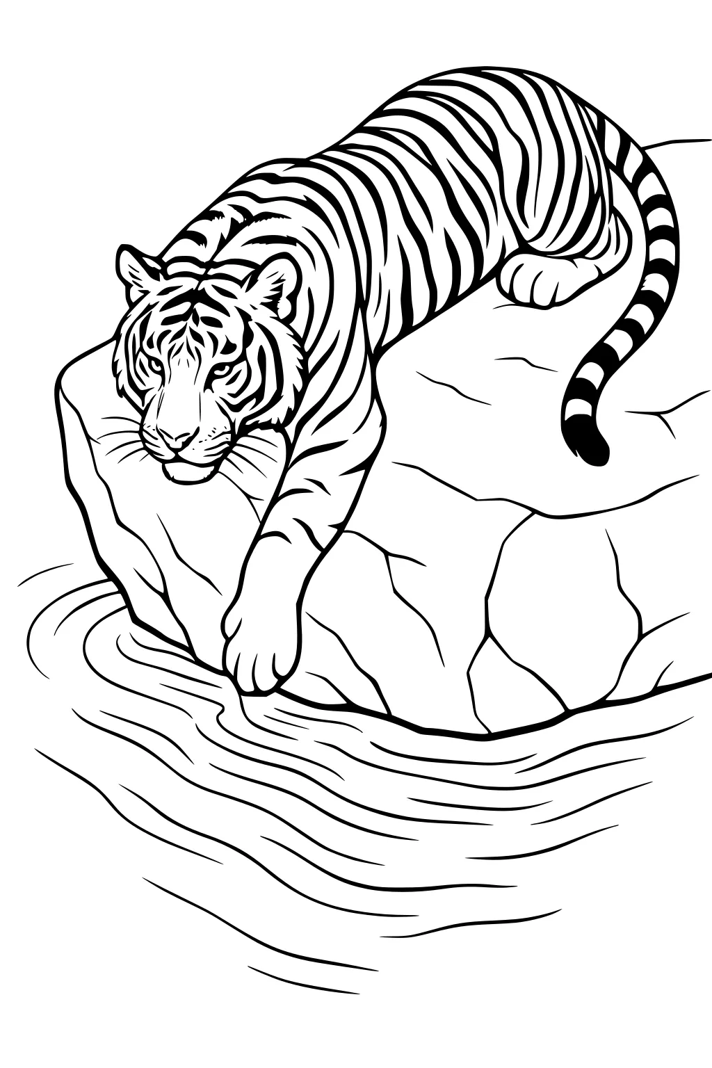 A striped tiger resting on a big rock near water with one front paw hanging down, surrounded by ripples.