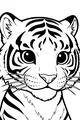 Big-Eyed Tiger Peeks from the Jungle