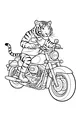 Roaring Down the Road