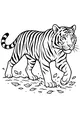 Tiger Walks Through Crunchy Leaves