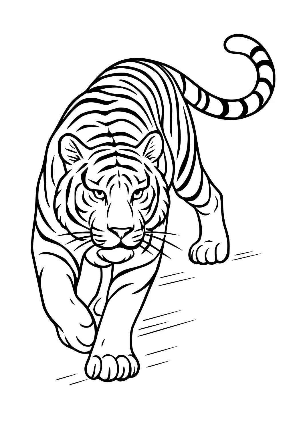 Tiger with stripes walking forward, curling tail, big paws, and intense expression. Black line drawing on white background.
