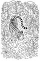 Tiger Walks Through Ancient Stone Ruins