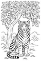 Tiger Under the Fig Tree