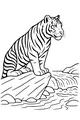 Tiger by the Rushing Riverbank