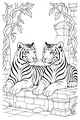 Twin Tigers on Ancient Stone Steps