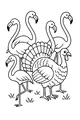 Turkey and the Flamingo Parade